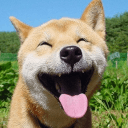 ~r~ 230 | Tango-39 | K. Sungwoo